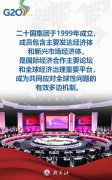 海报丨八张图带你了解G20